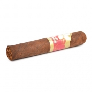  Joya De Nicaragua Flor De Nicaragua Robusto