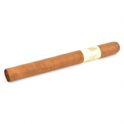  La Instructora Delicado Presidente