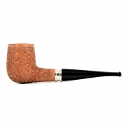   Mario Pascucci - P Rust - 2569 ( )