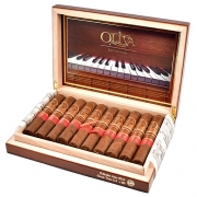 C Oliva - Serie V Melanio Gran Toro Edicion Ano 2024