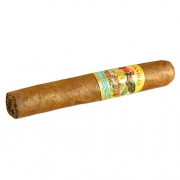  Paradiso Quintessence Majestic