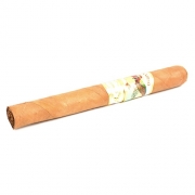  Paradiso Elegancia Churchill