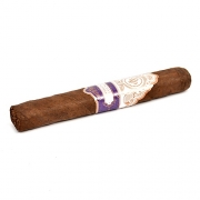  Rocky Patel Special Edition Robusto