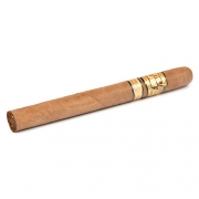  Total Flame Custom Bright Line