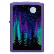  Zippo - 48565 Night In The Forest