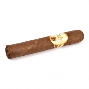  Oliva Serie "G" Double Robusto